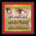 kuch cheree 01 * 22.03.2008 * 324 x 249 * (17KB)